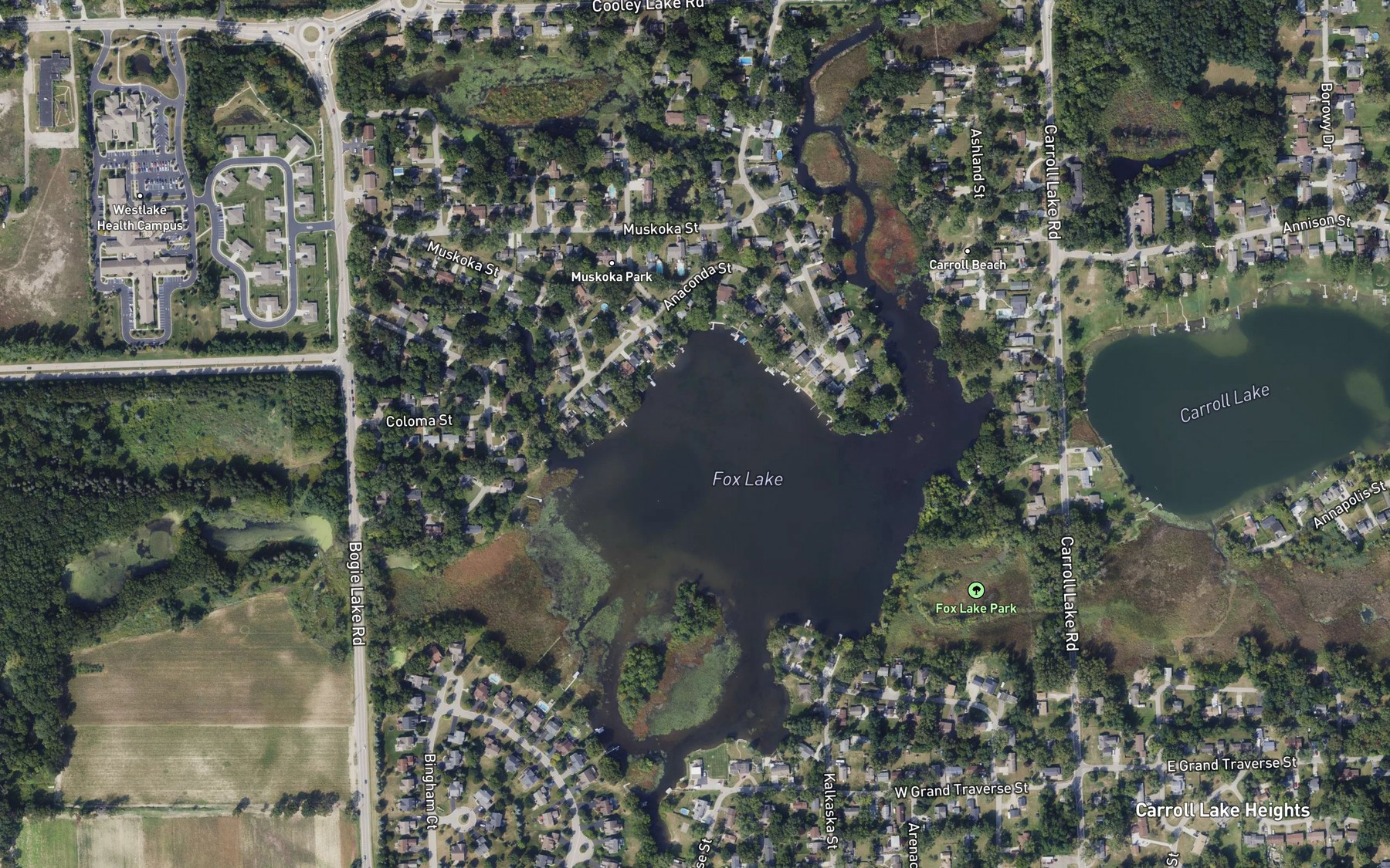 Satellite map of the Fox Lake
