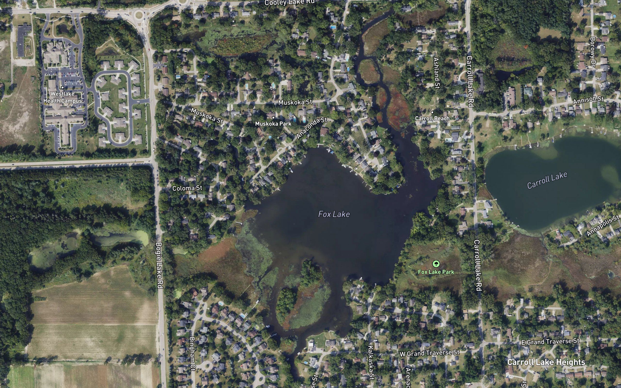 Fox Lake
