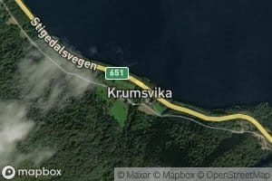 Krumsvikelva