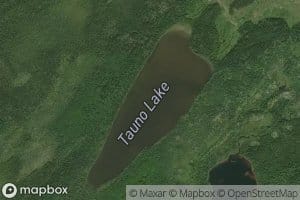 Tauno Lake