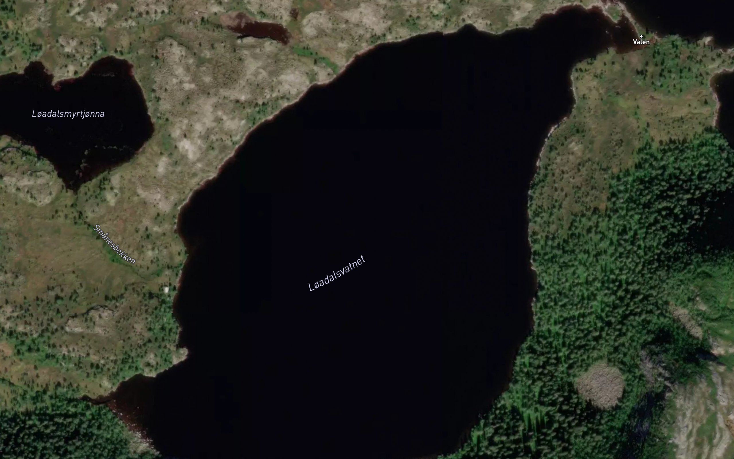 Loadalsvatnet