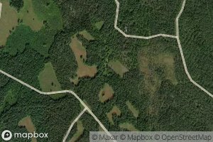 Satellite map of the Naaluoja