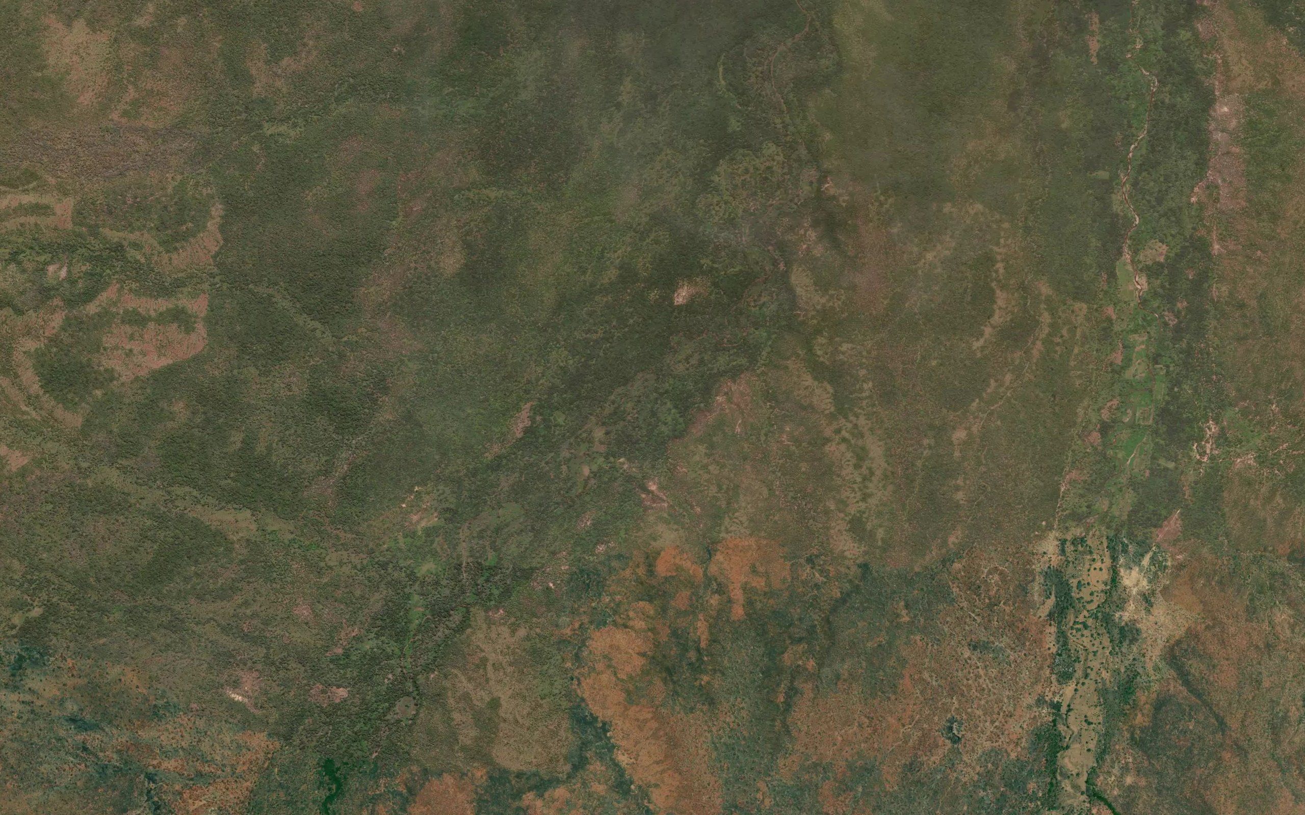 Nyondwe