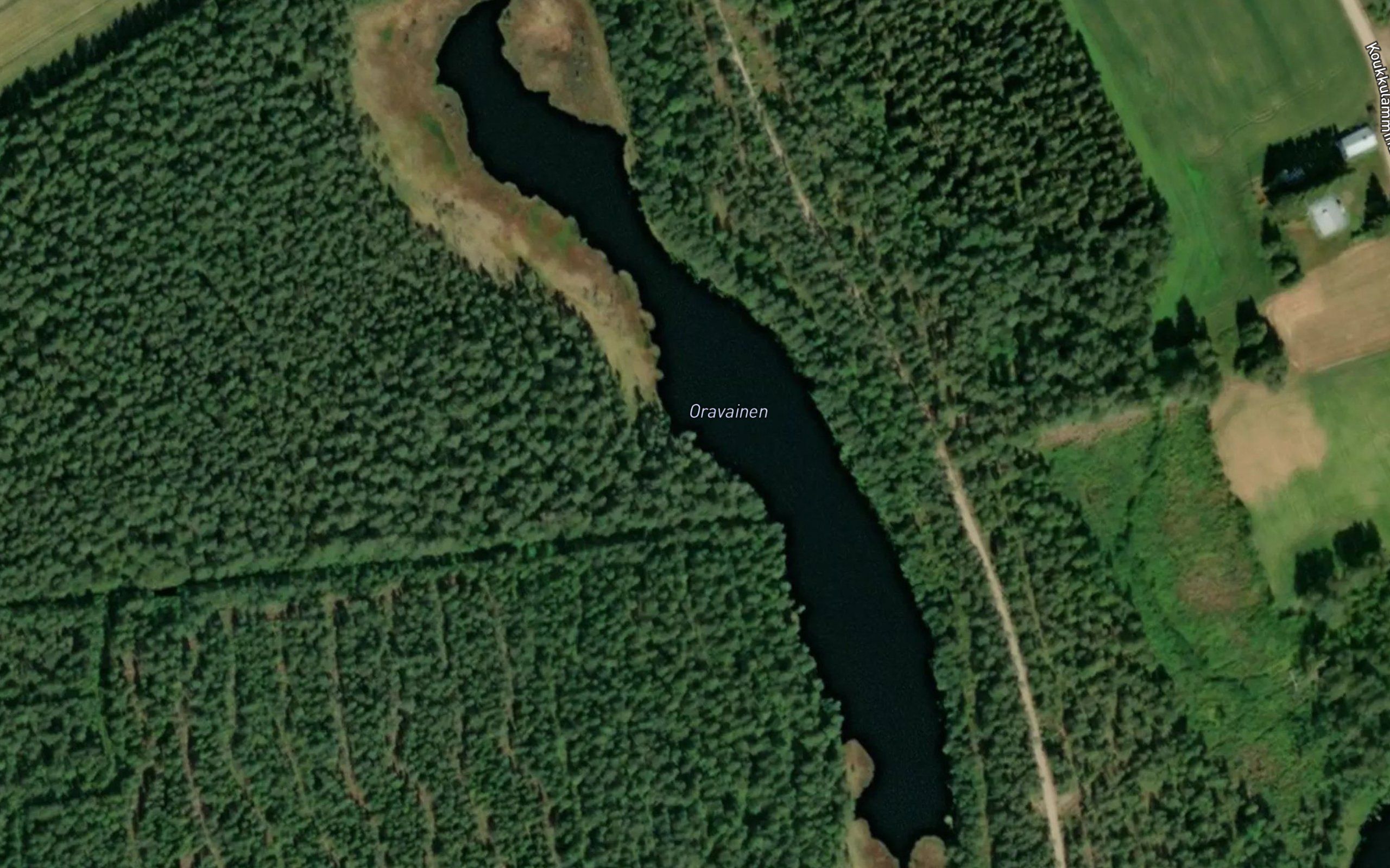 Oravainen