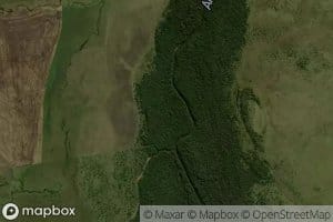 Zanja de los Carpinchos