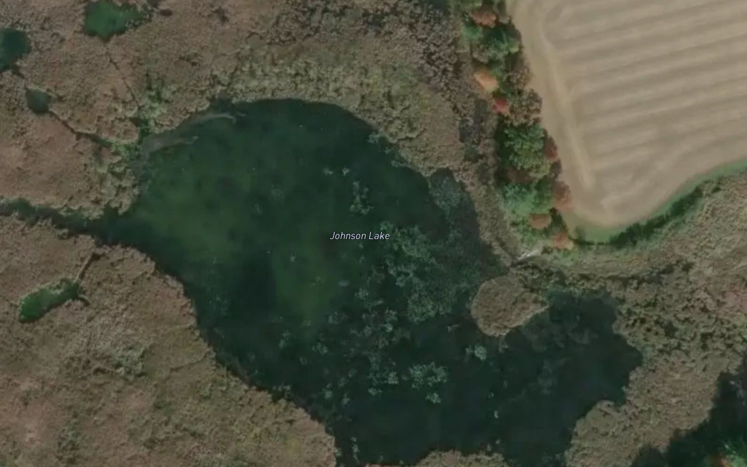 Johnson Lake
