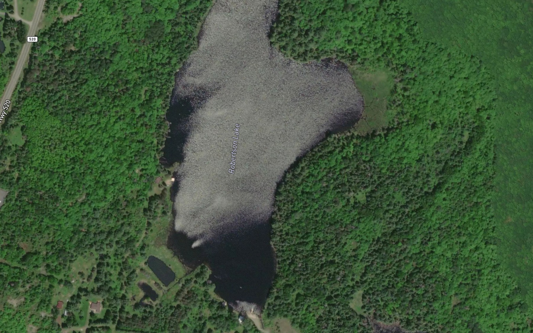 Satellite map of the Robertson Lake