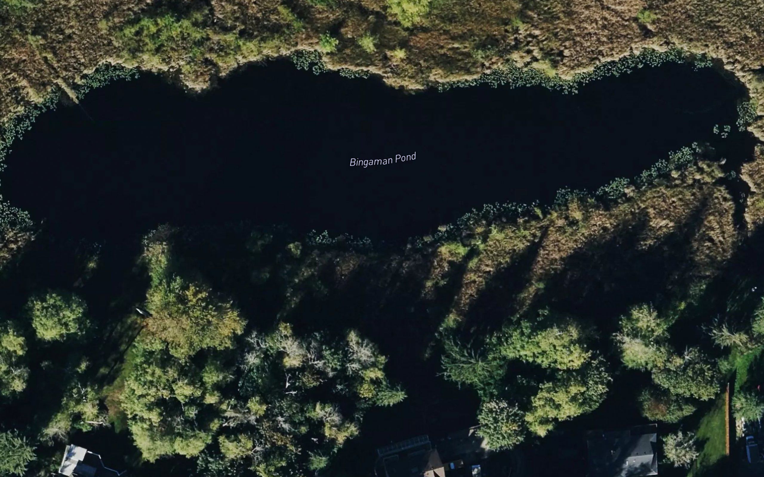 Bingaman Pond