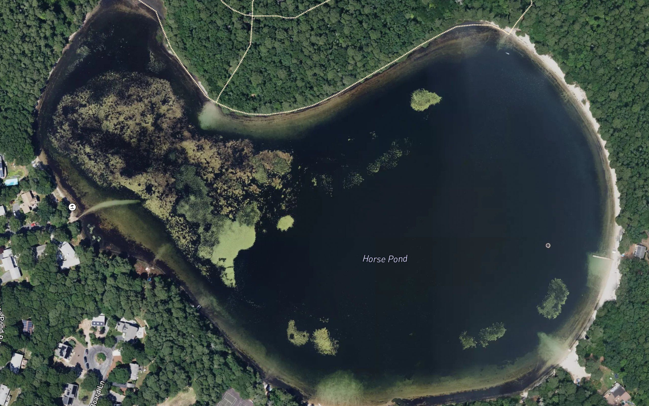 Horse Pond