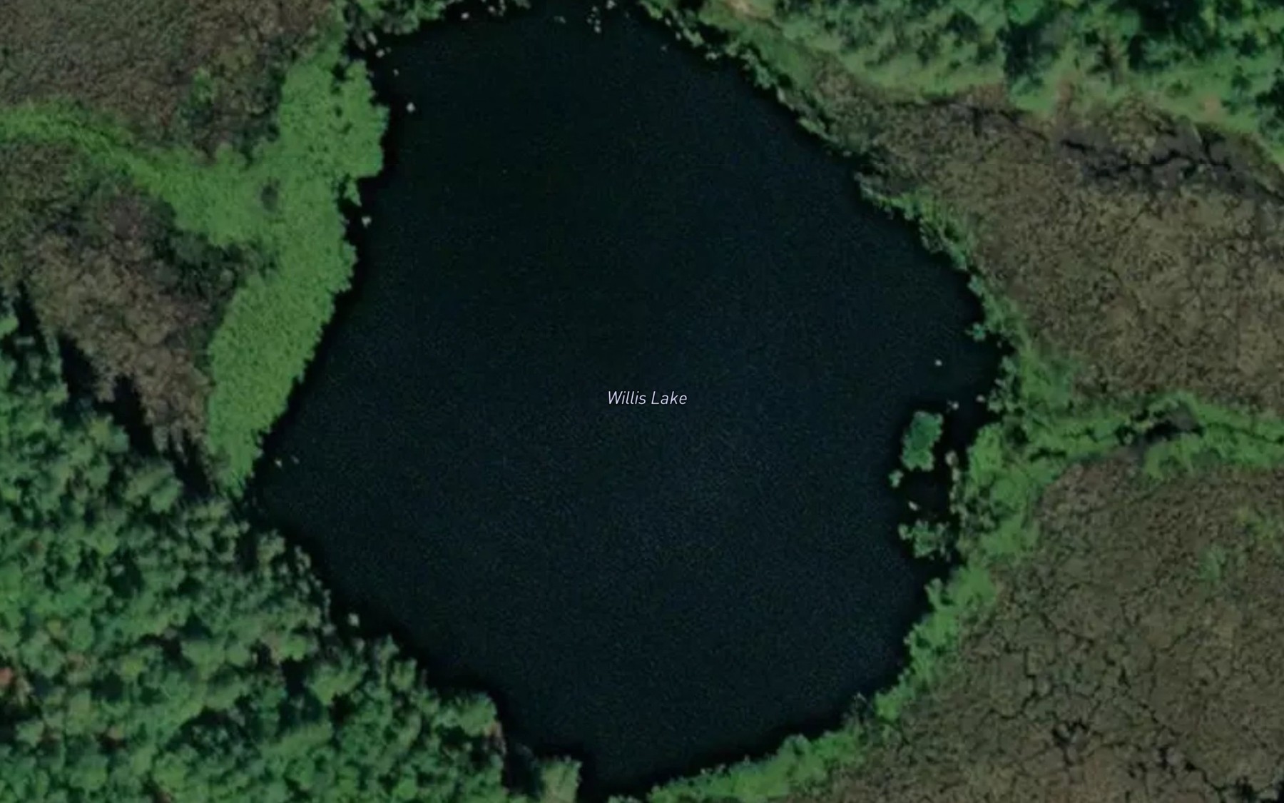 Satellite map of the Willis Lake