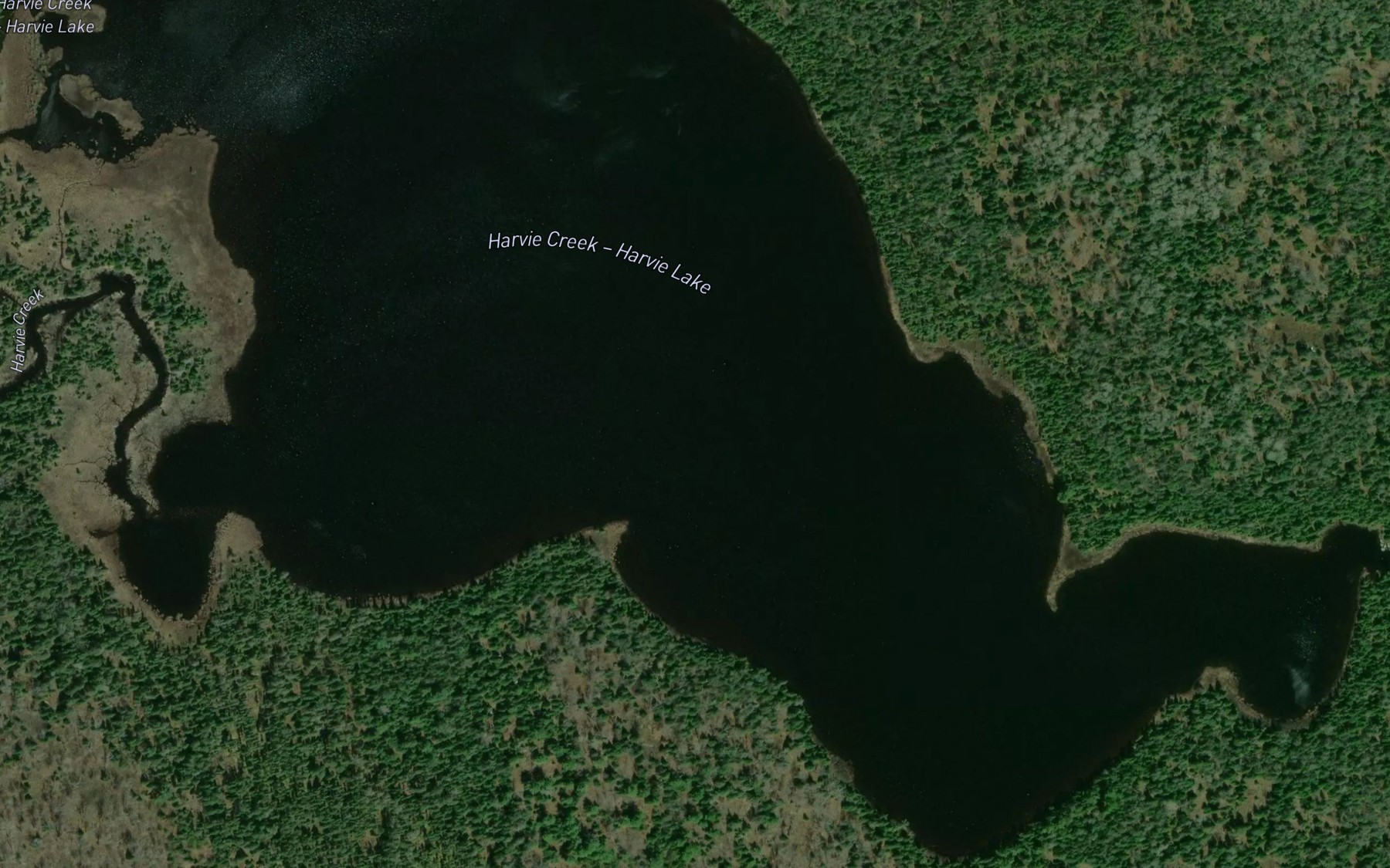 Satellite map of the Harvie Lake