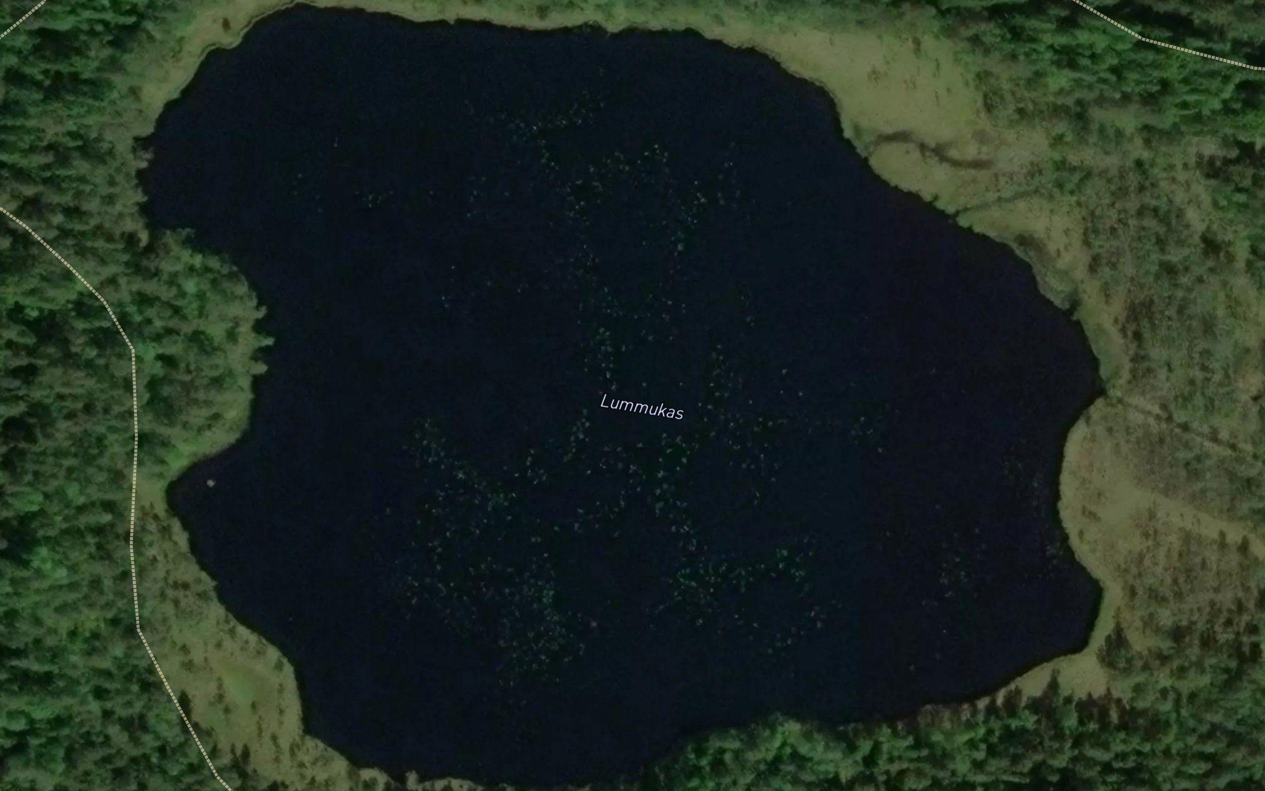 Lummukas
