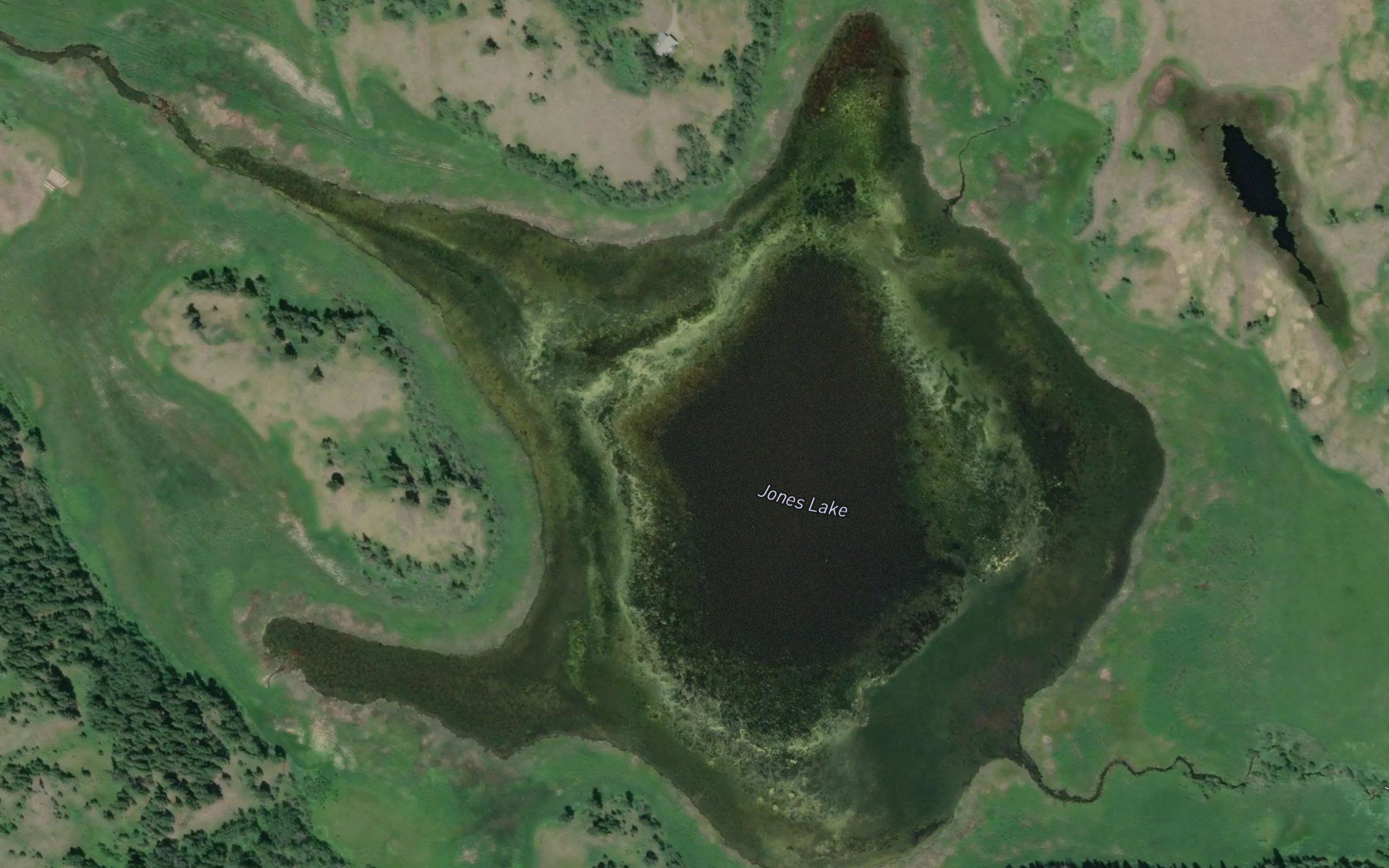 Jones Lake