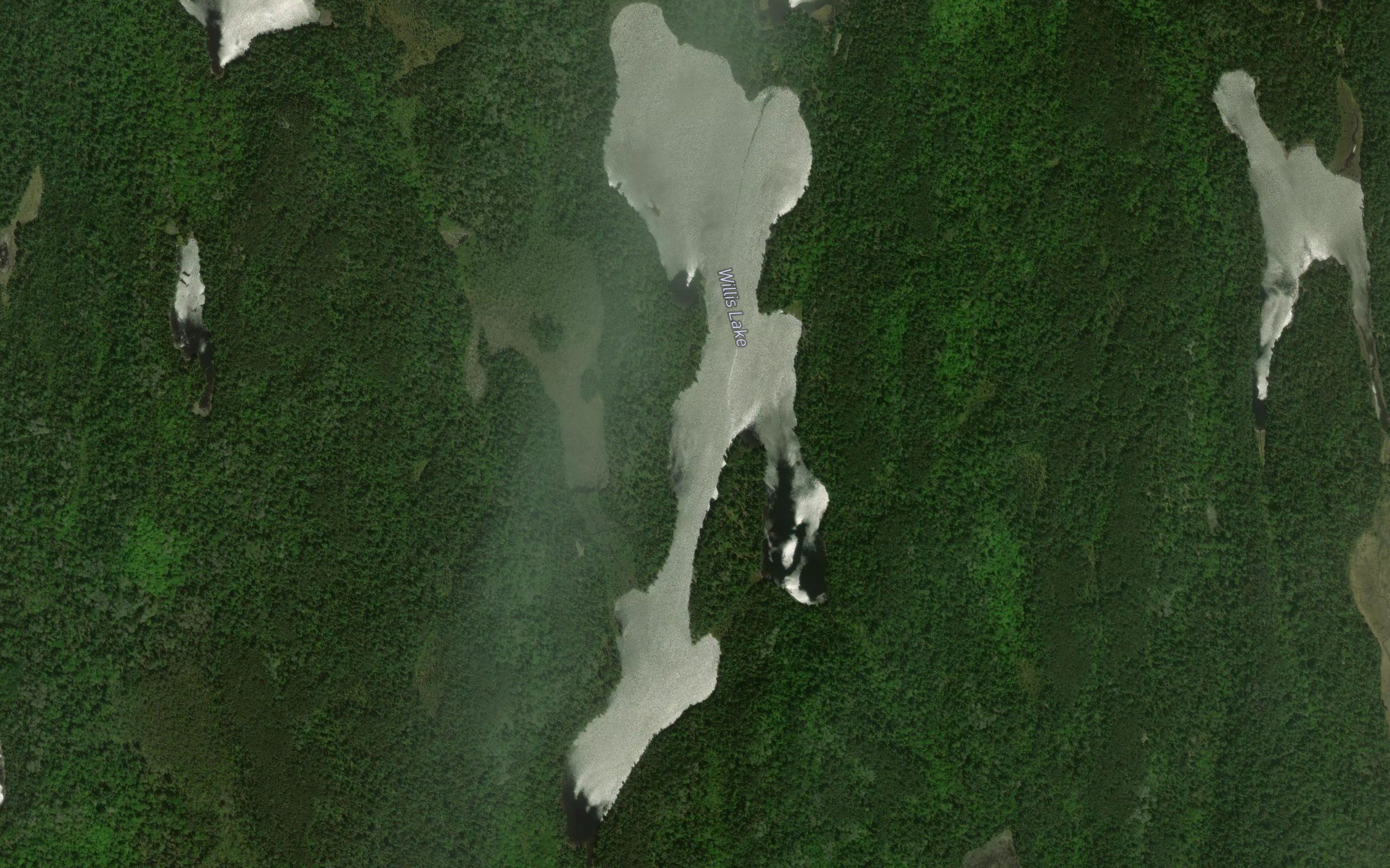 Willis Lake