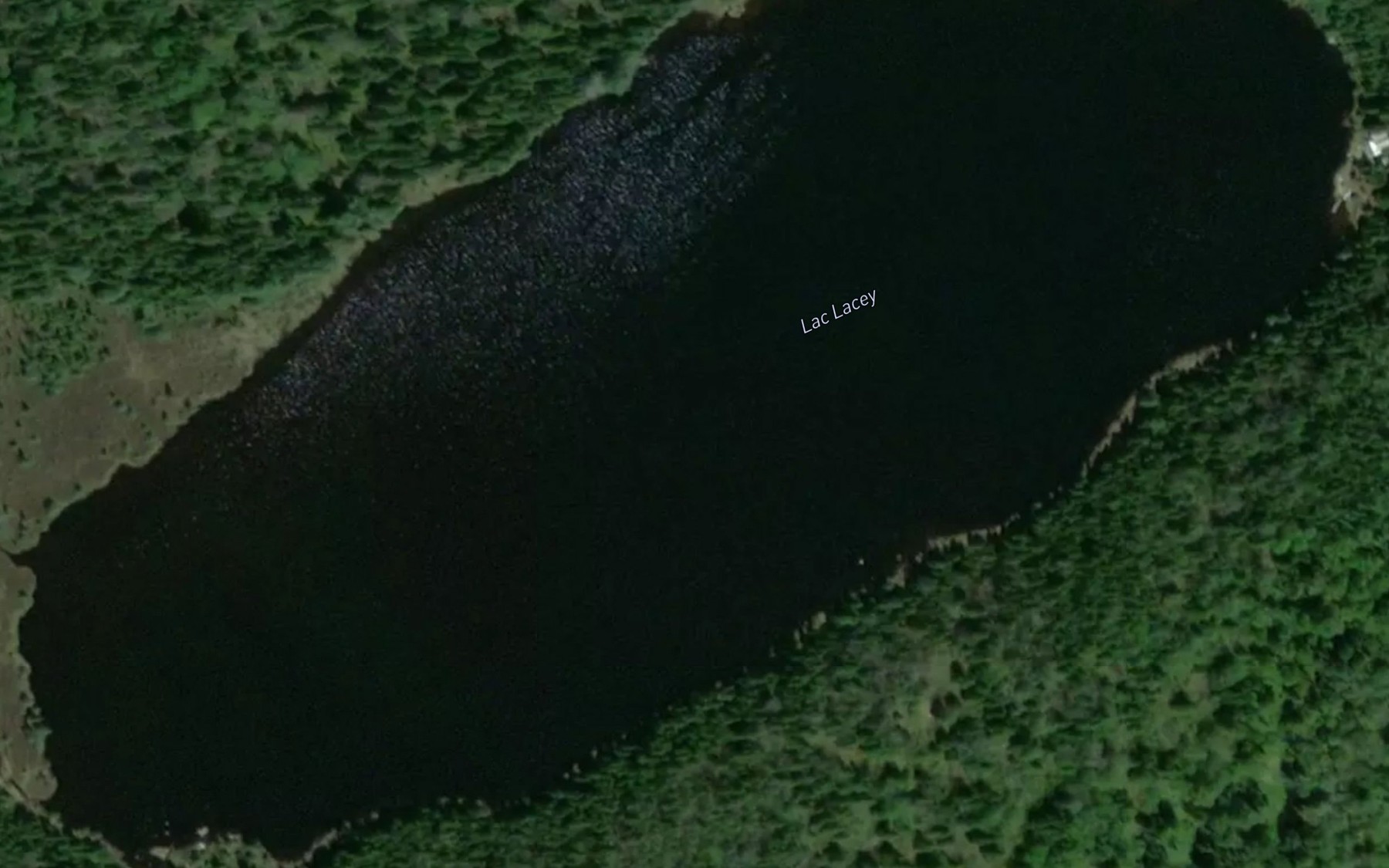 Satellite map of the Lac Lacey