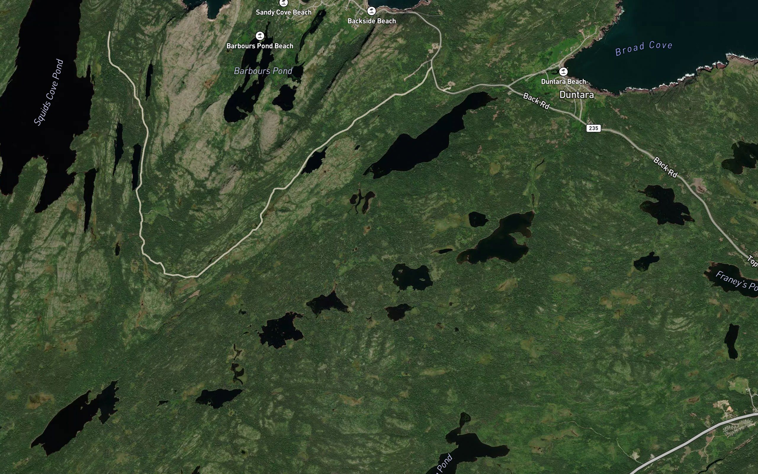Beaver Pond