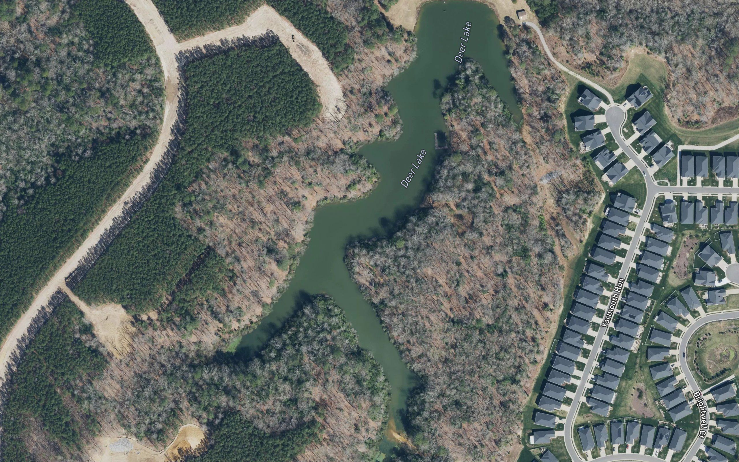 Deer Lake