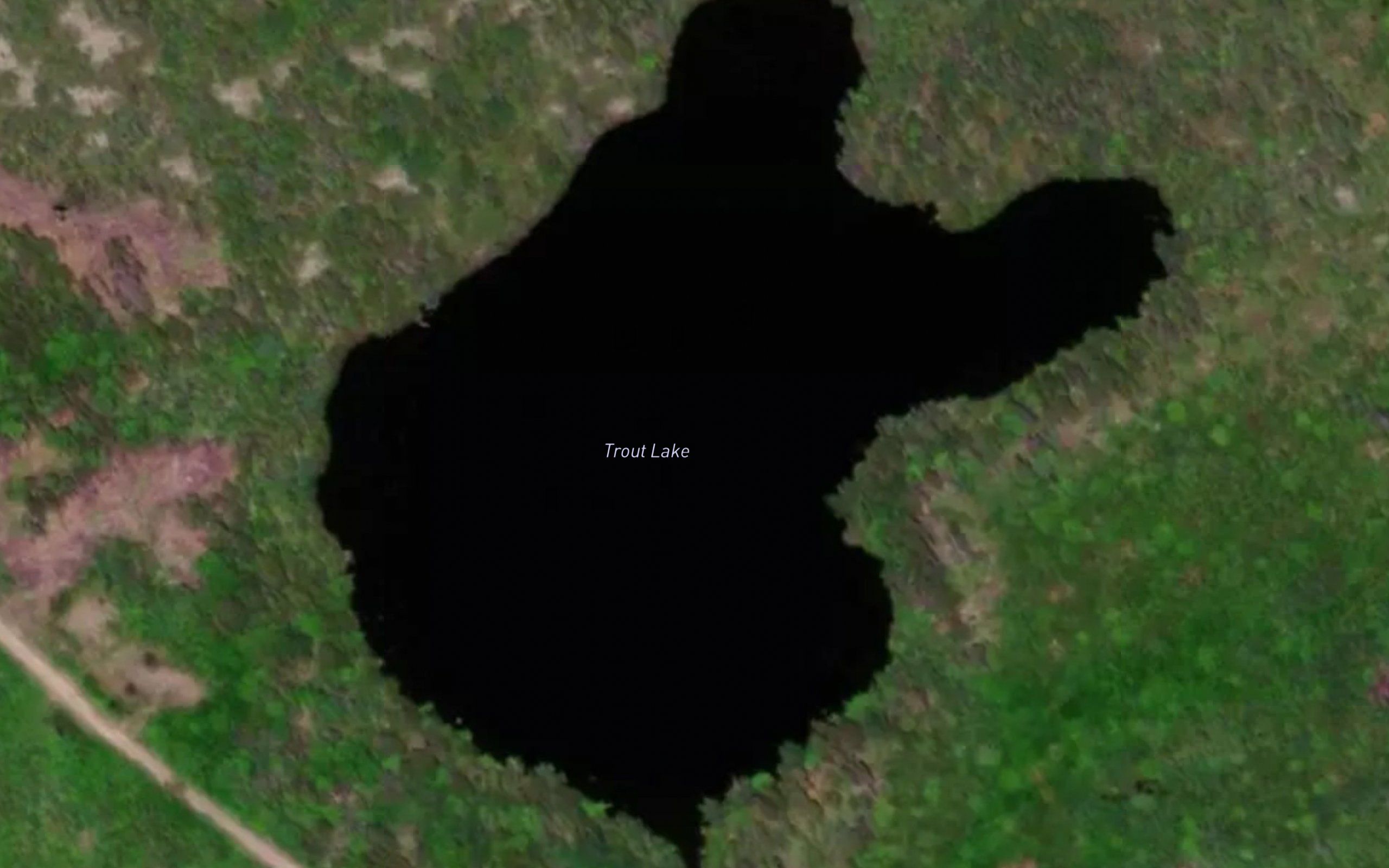 Trout Lake