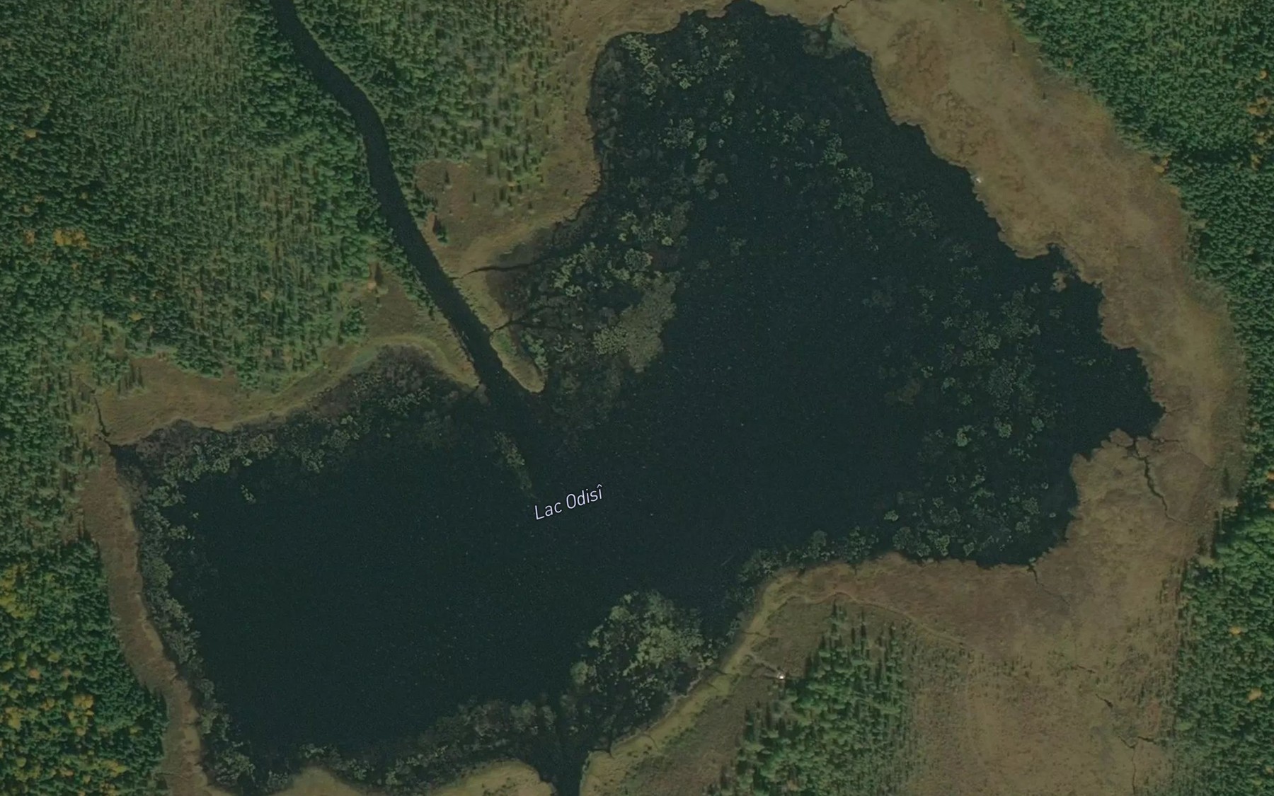 Satellite map of the Lac Odisi