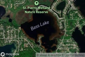 Bass Lake