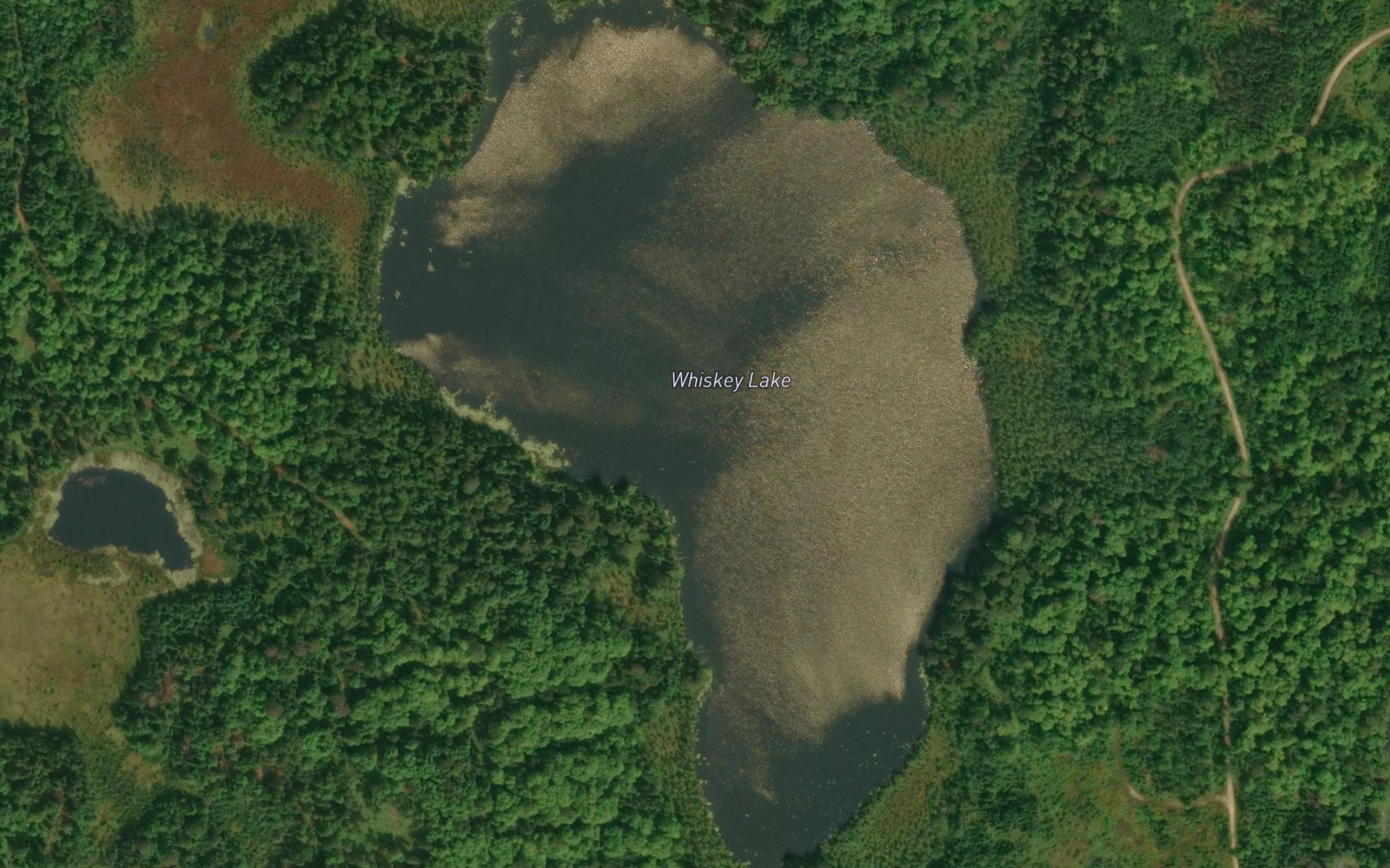 Whiskey Lake