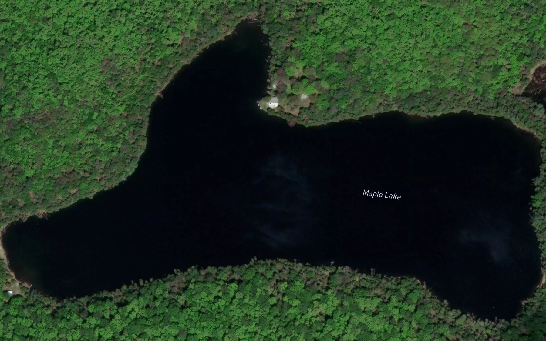 Satellite map of the Maple Lake