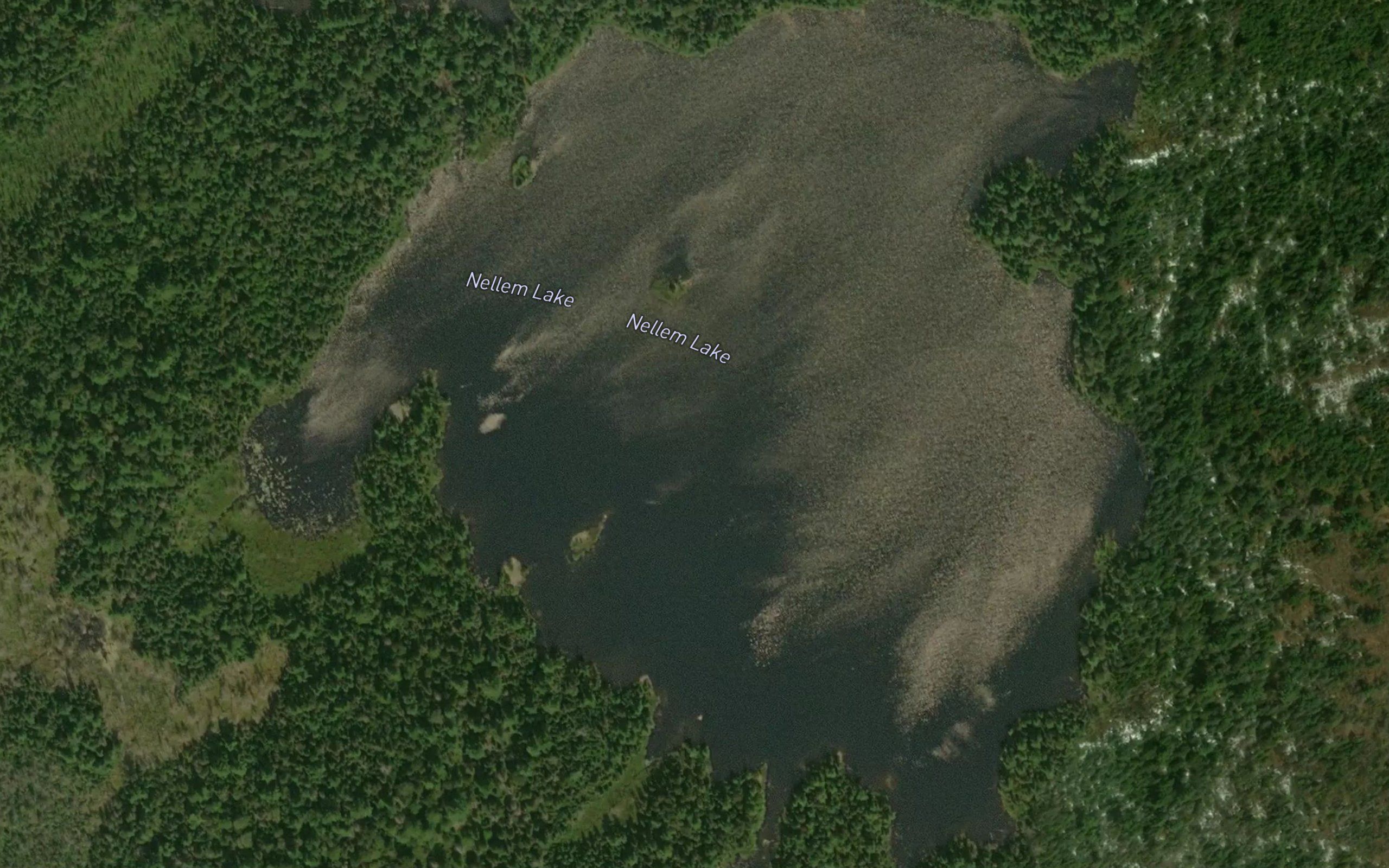 Nellem Lake