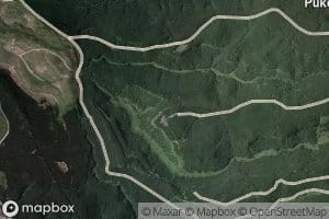 Opakau Stream