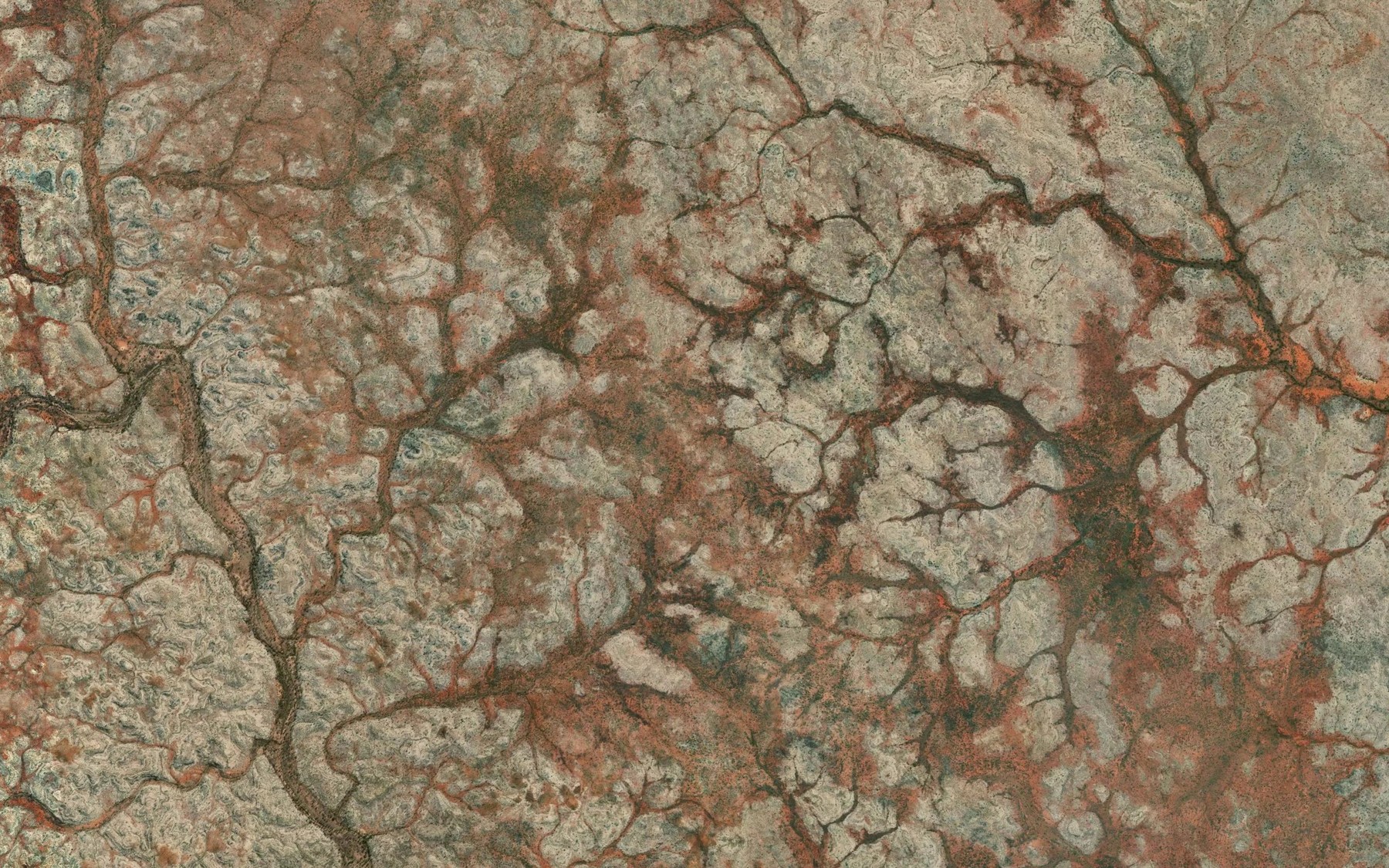 Satellite map of the Bellbird Creek