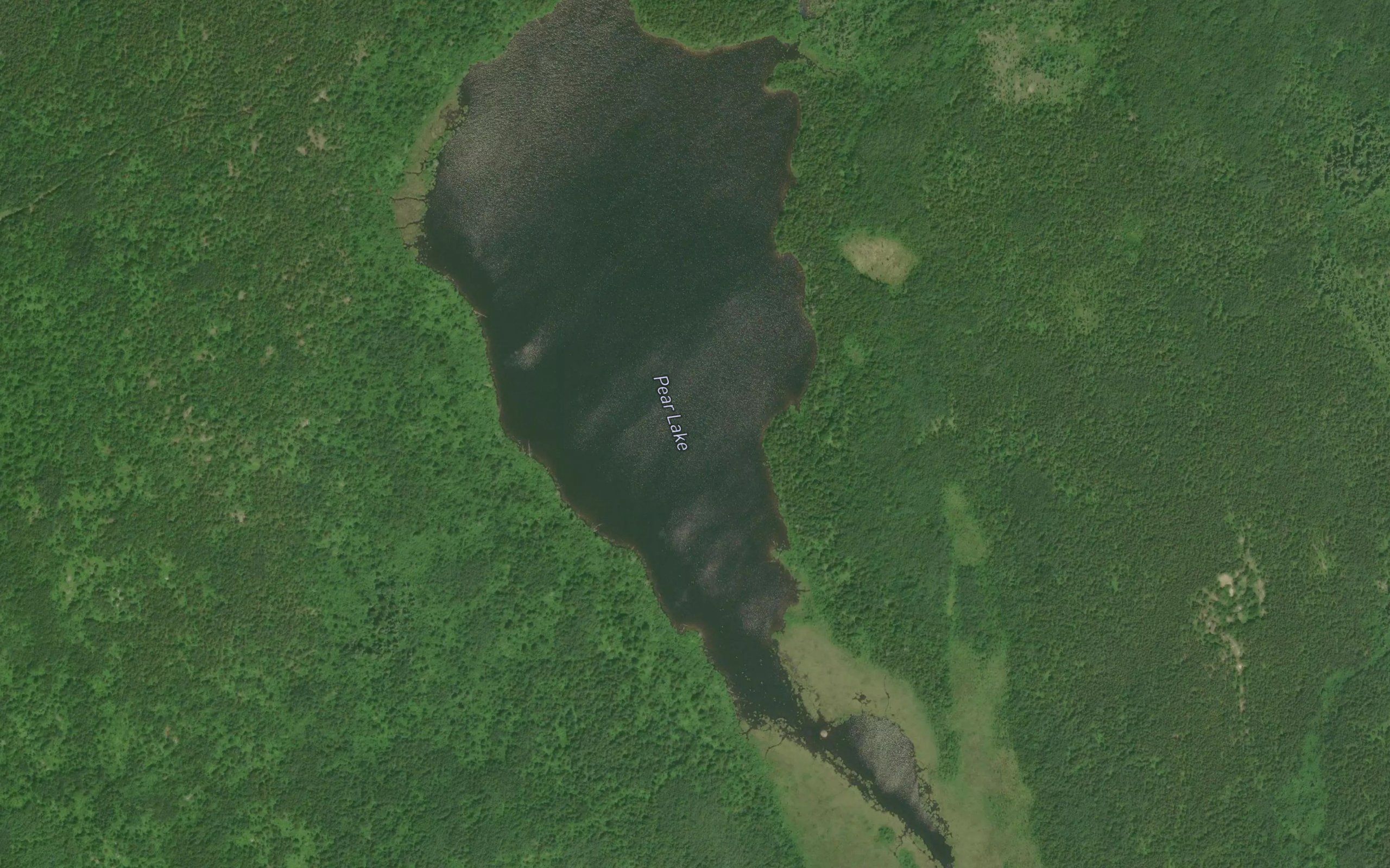 Pear Lake