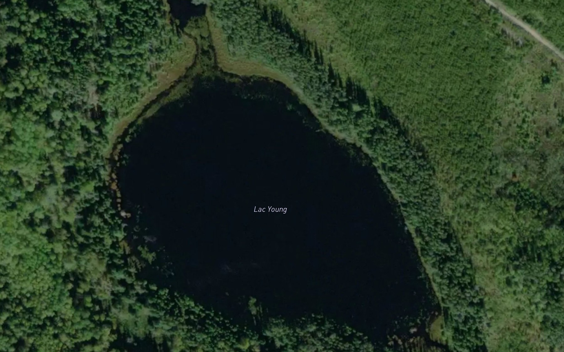 Satellite map of the Lac Young