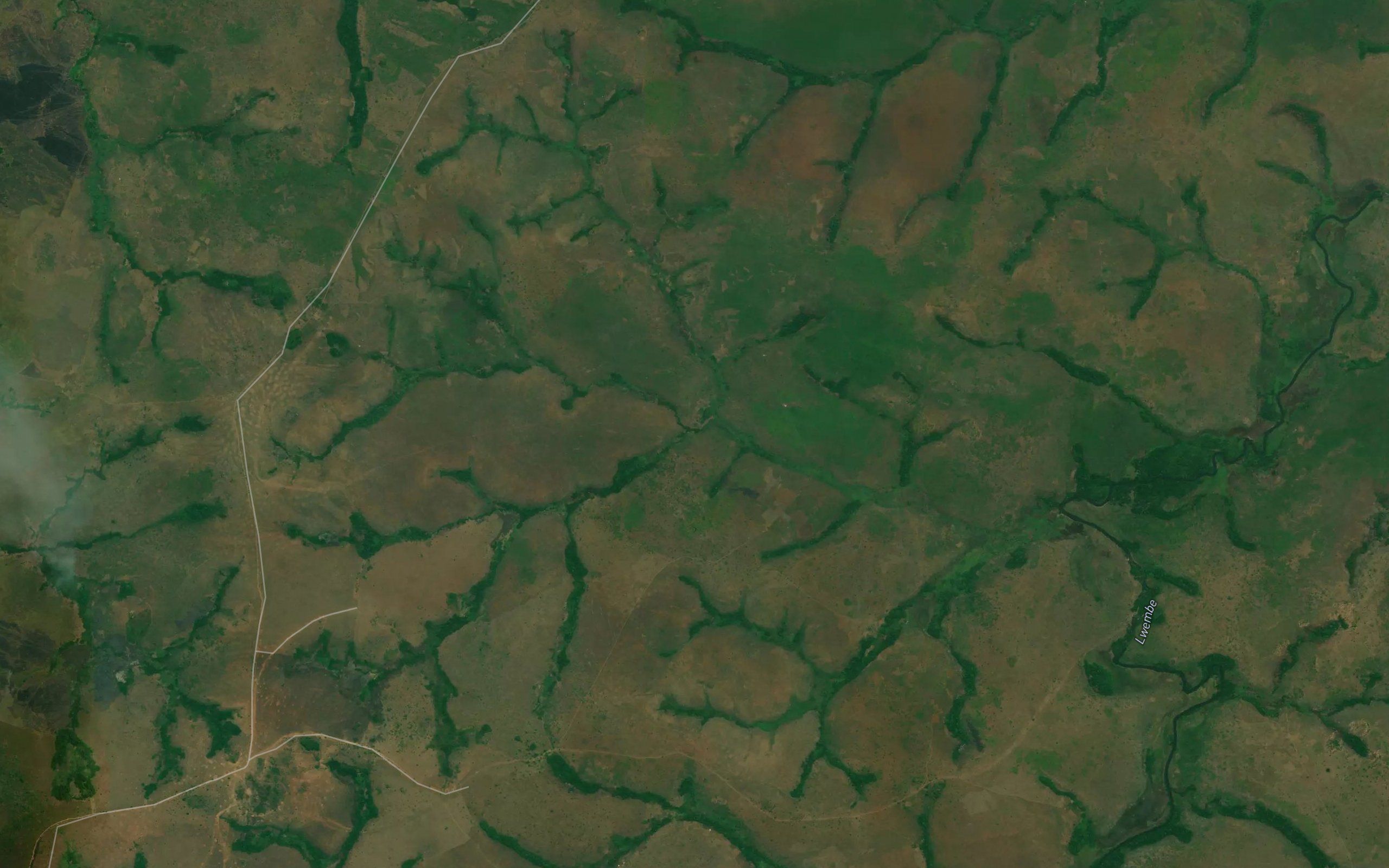 Kangai