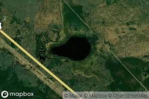 Bog Lake