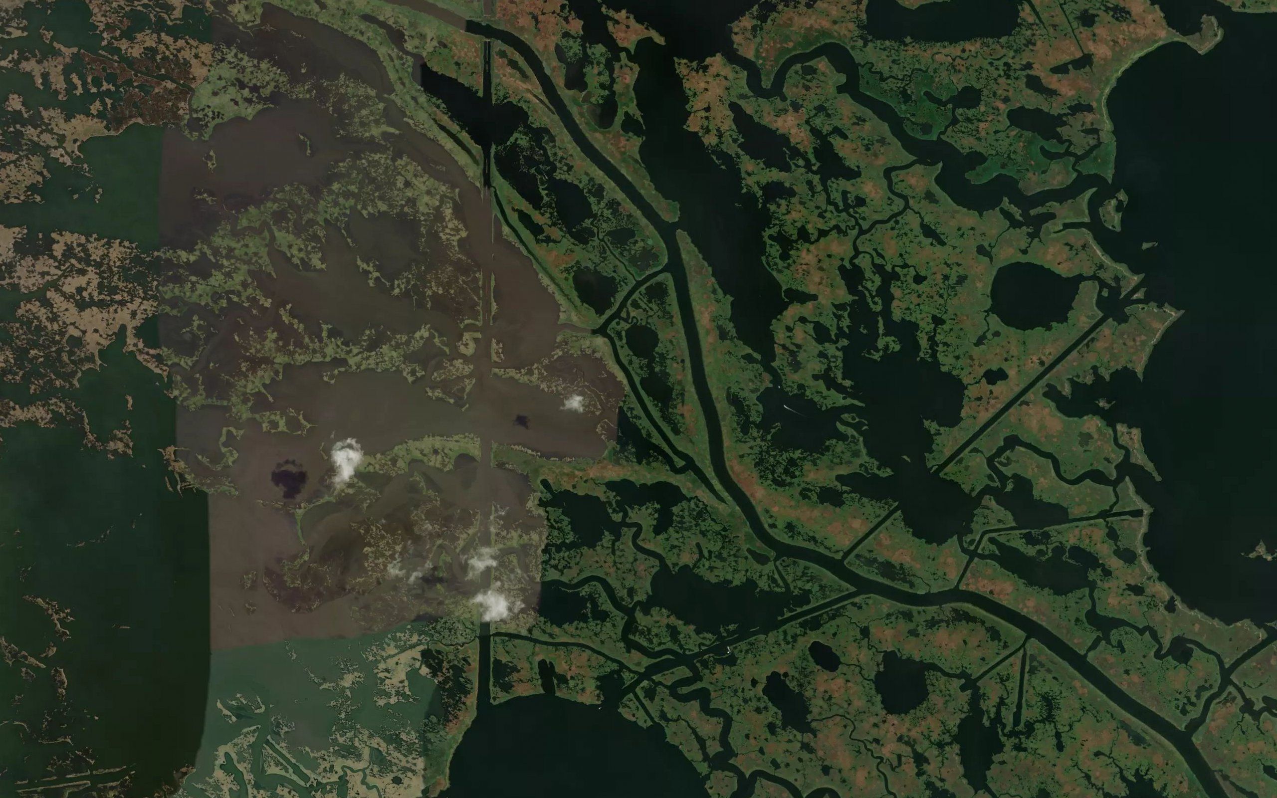 Bayou Goudet