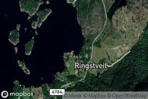 Ringstveitvika