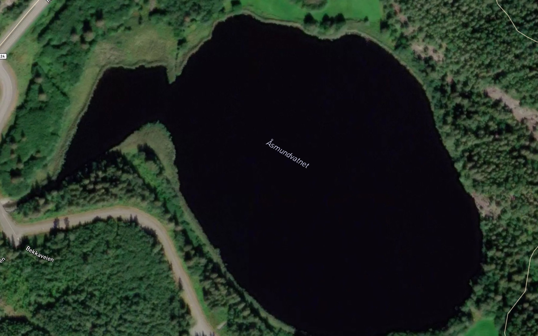 Satellite map of the Asmundvatnet
