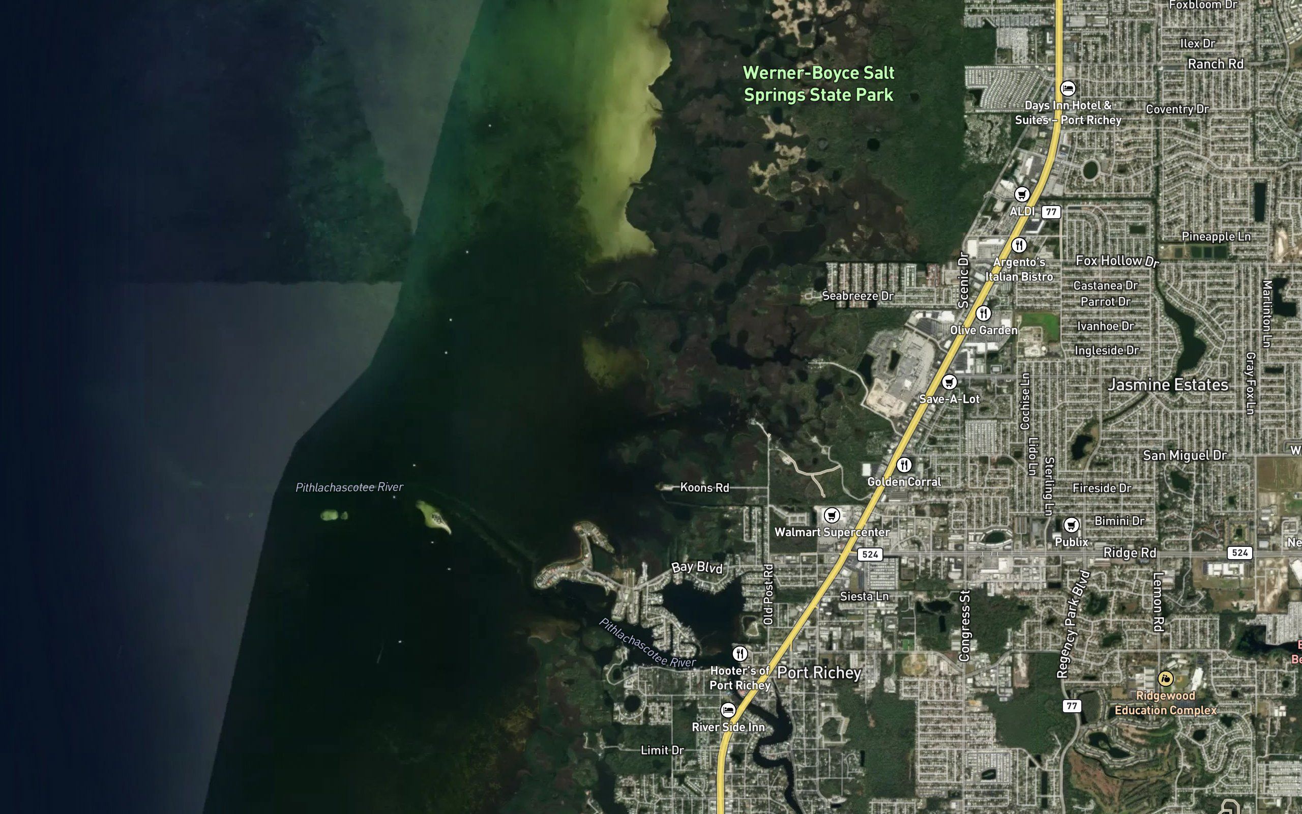 Salt Springs Run