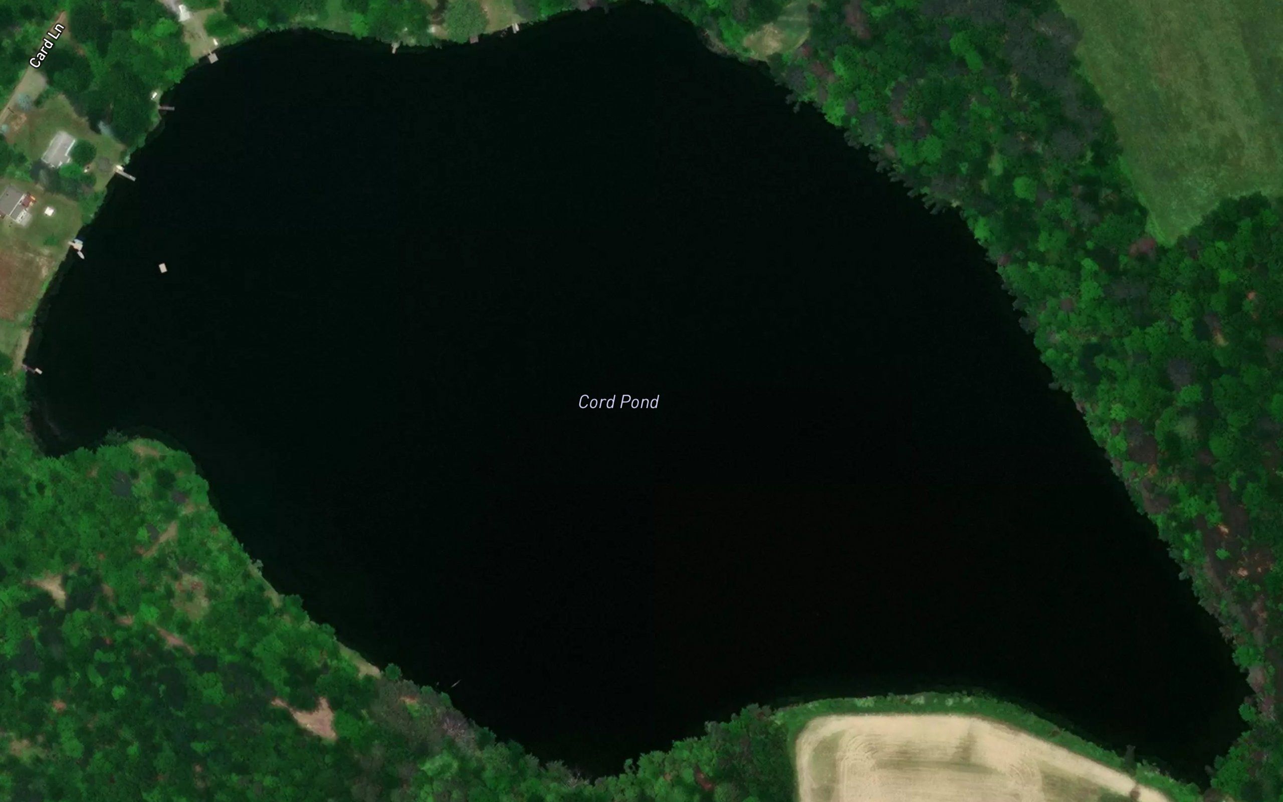 Cord Pond