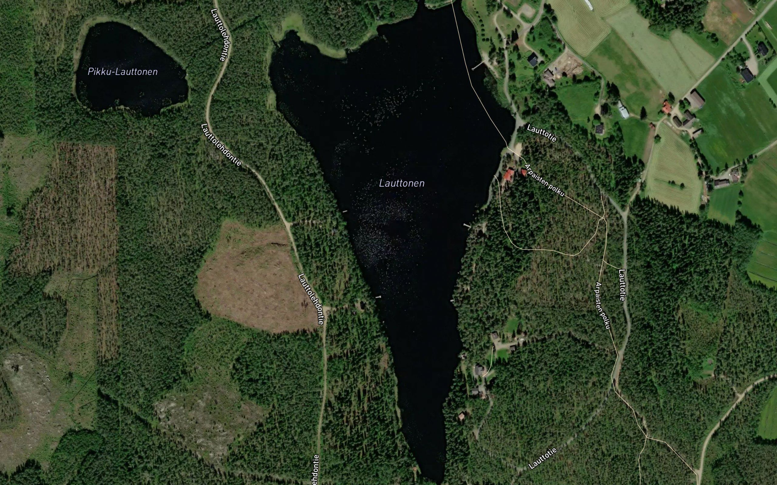 Lauttonen