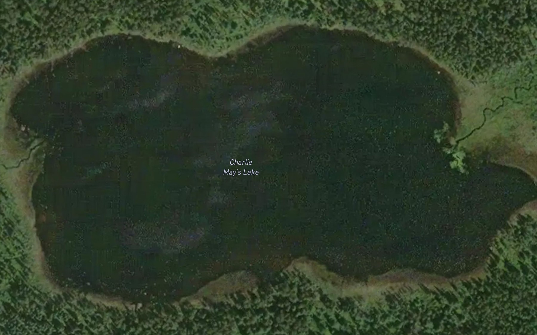 Satellite map of the Charlie May's Lake