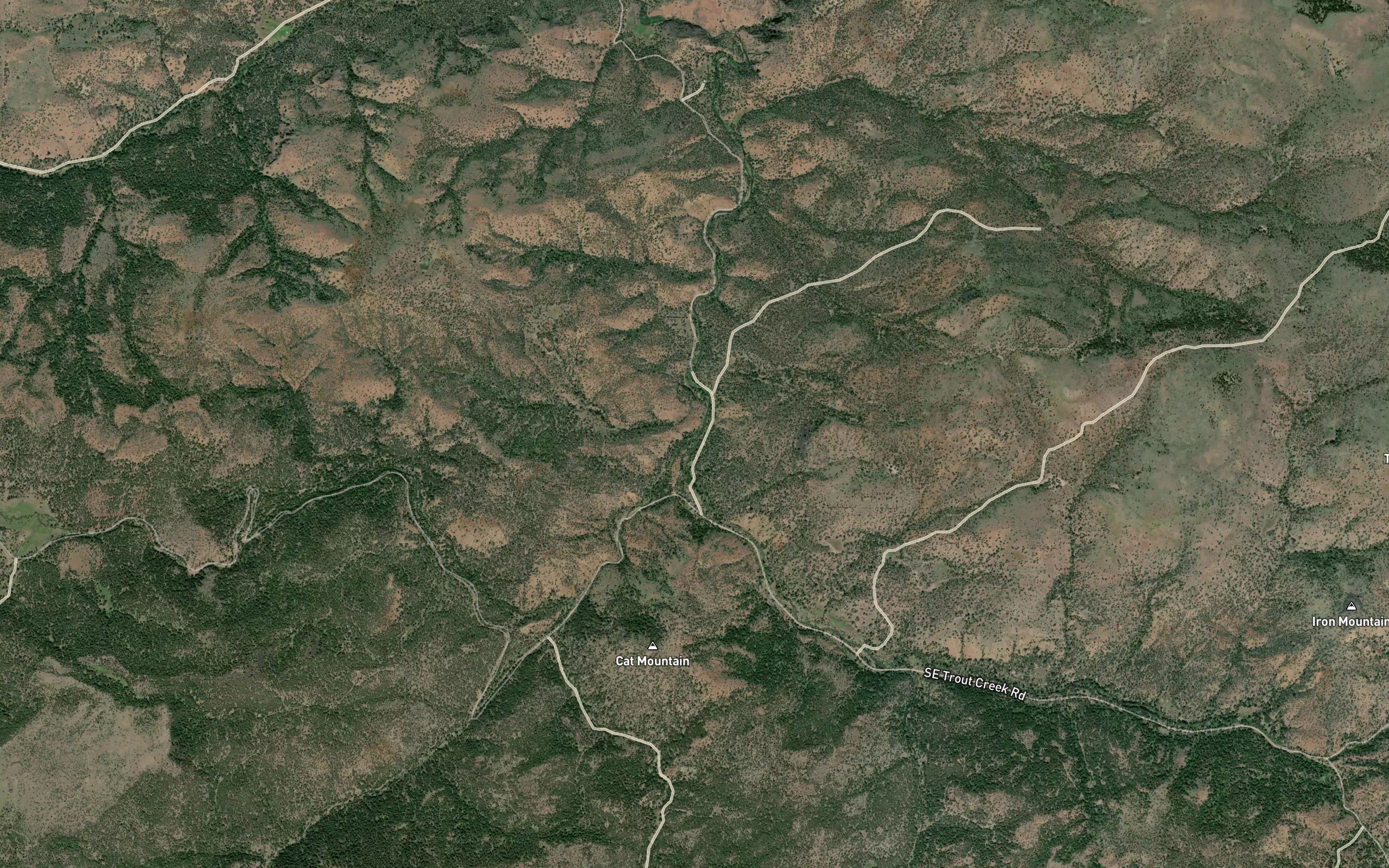 Foley Creek