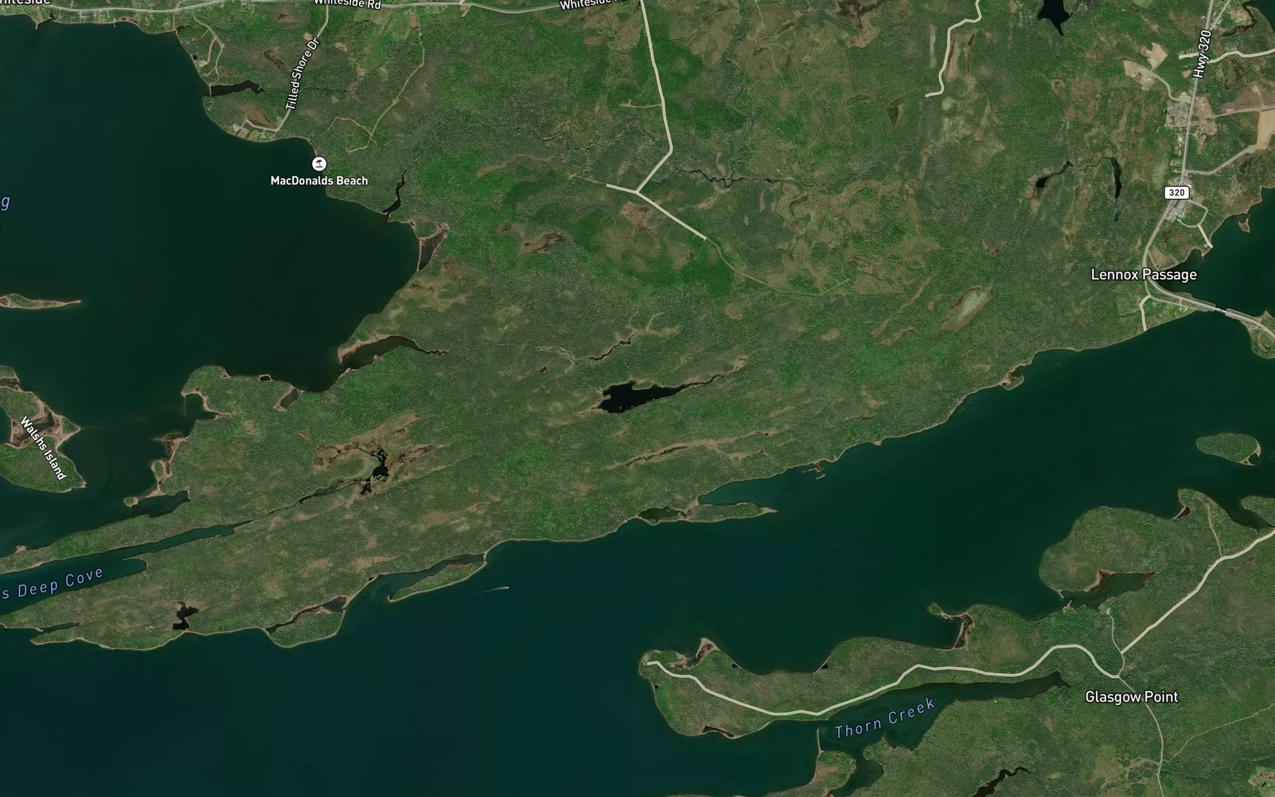 Satellite map of the Walshs Lake