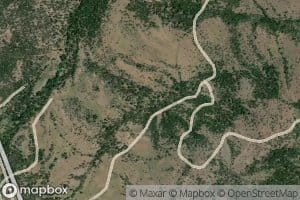 Quail Spring