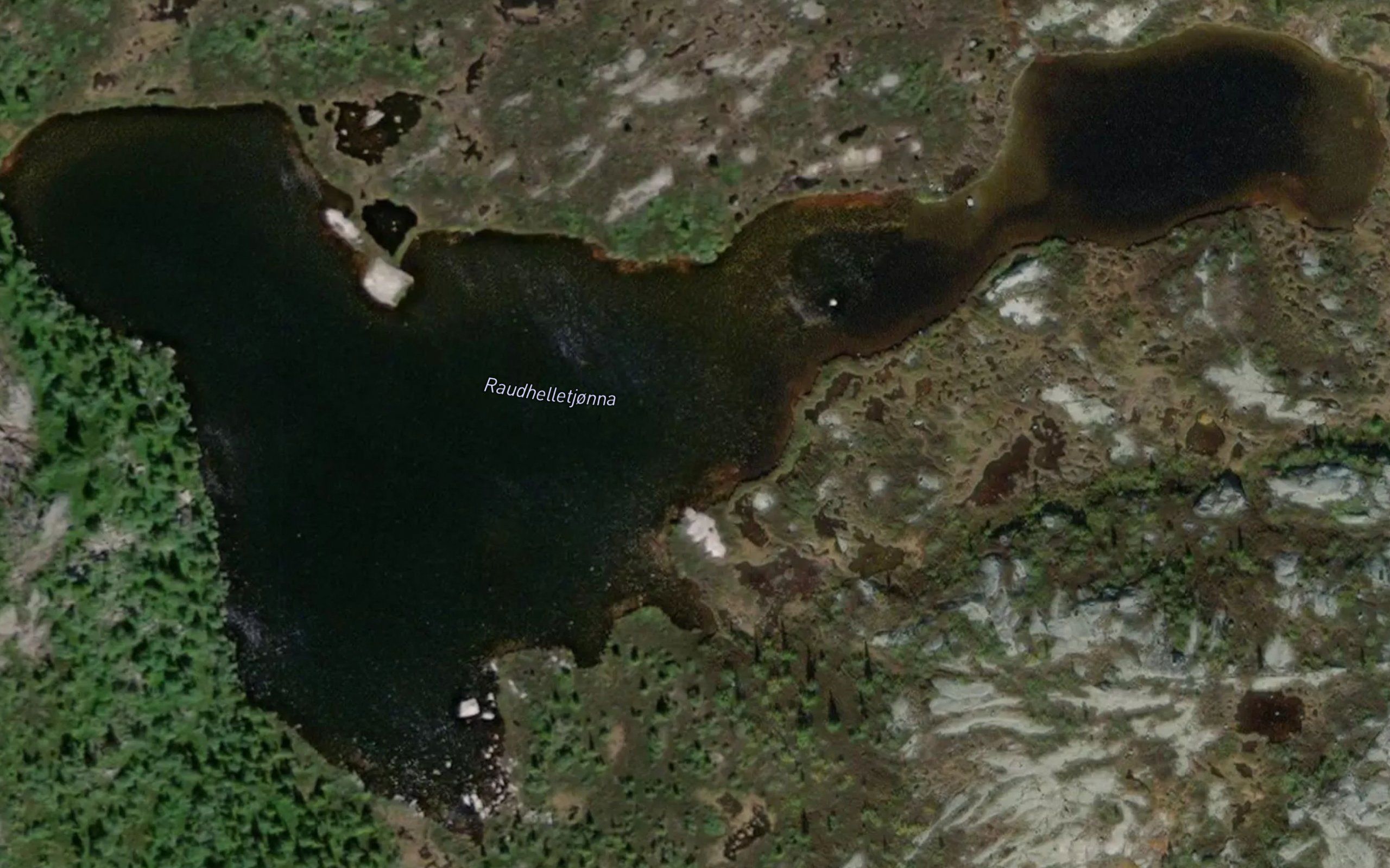 Raudhelltjorni