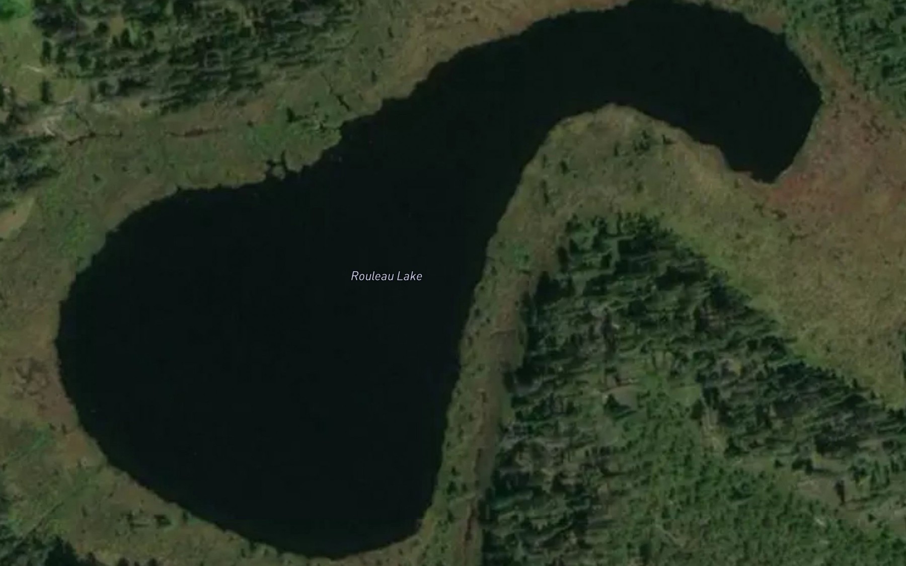 Satellite map of the Rouleau Lake
