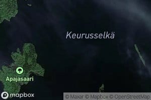 Virsukari