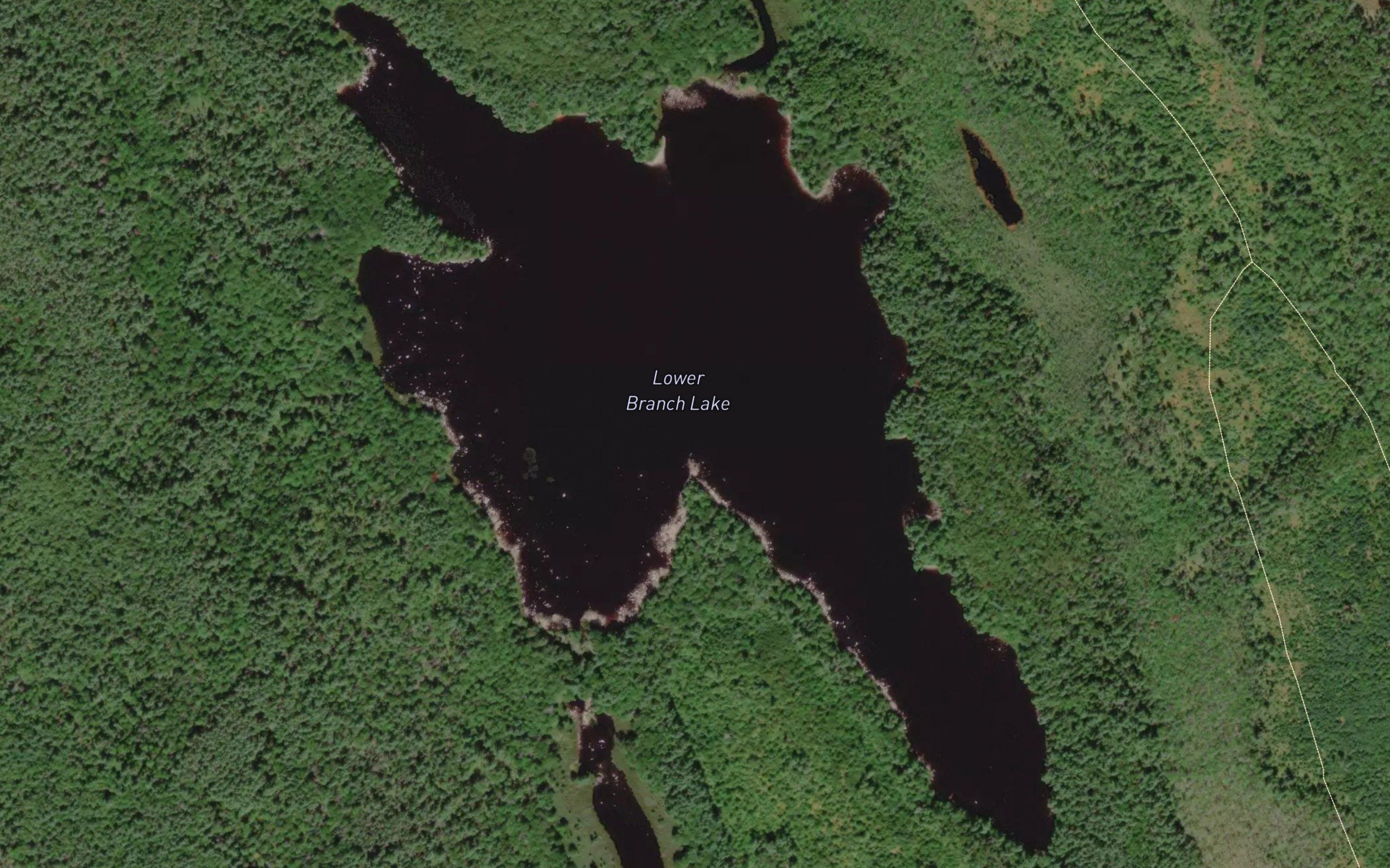 Lower Branch Lake