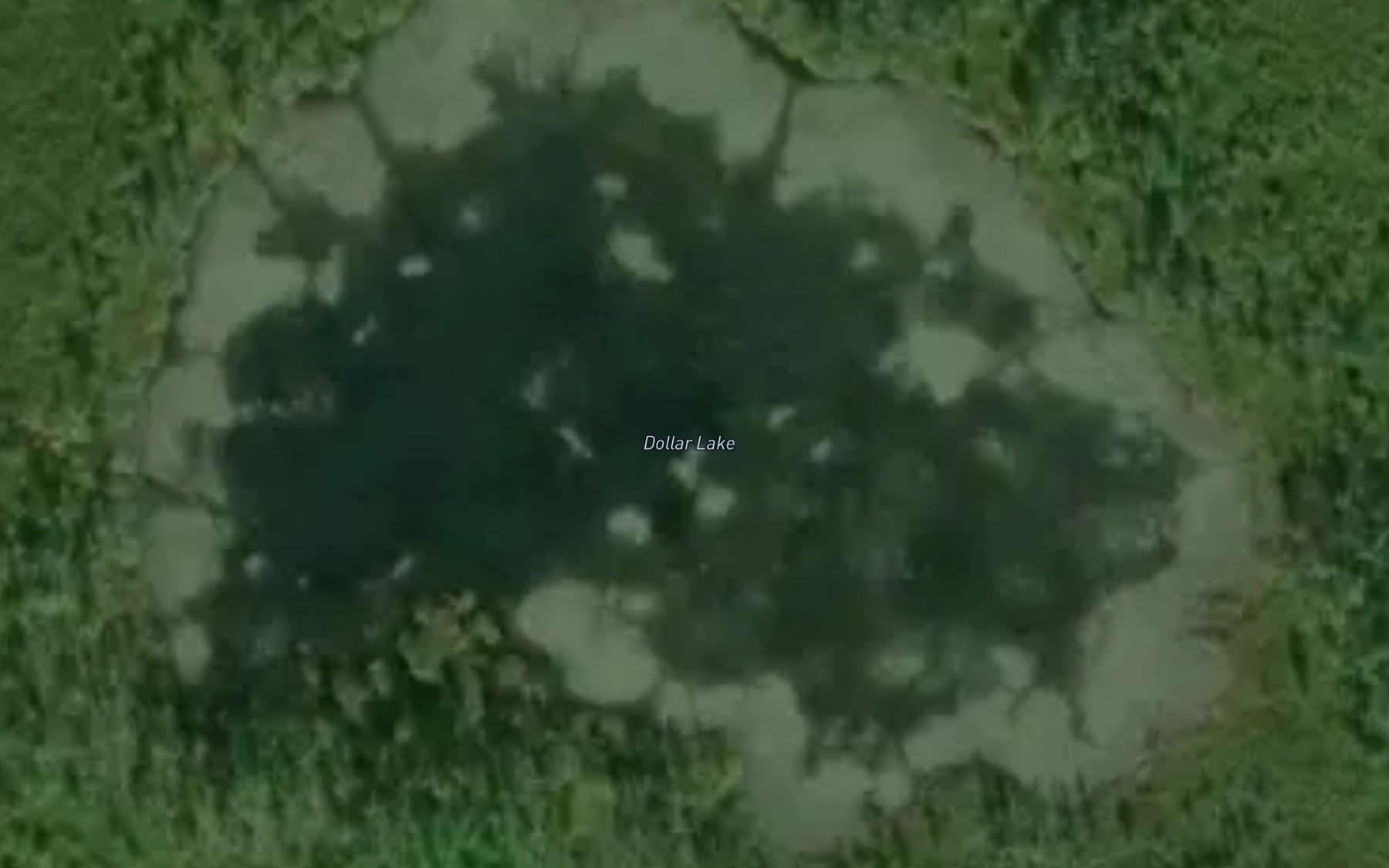 Satellite map of the Dollar Lake