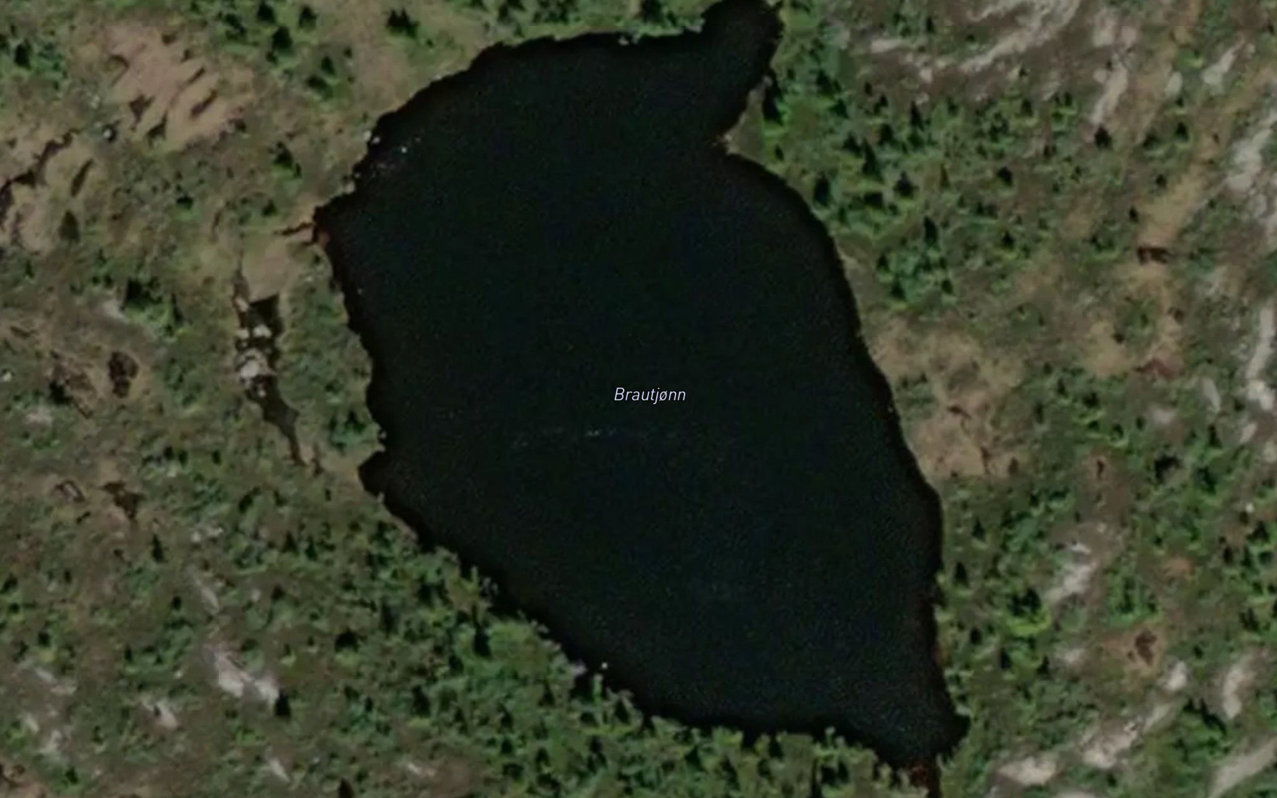 Brautjonn
