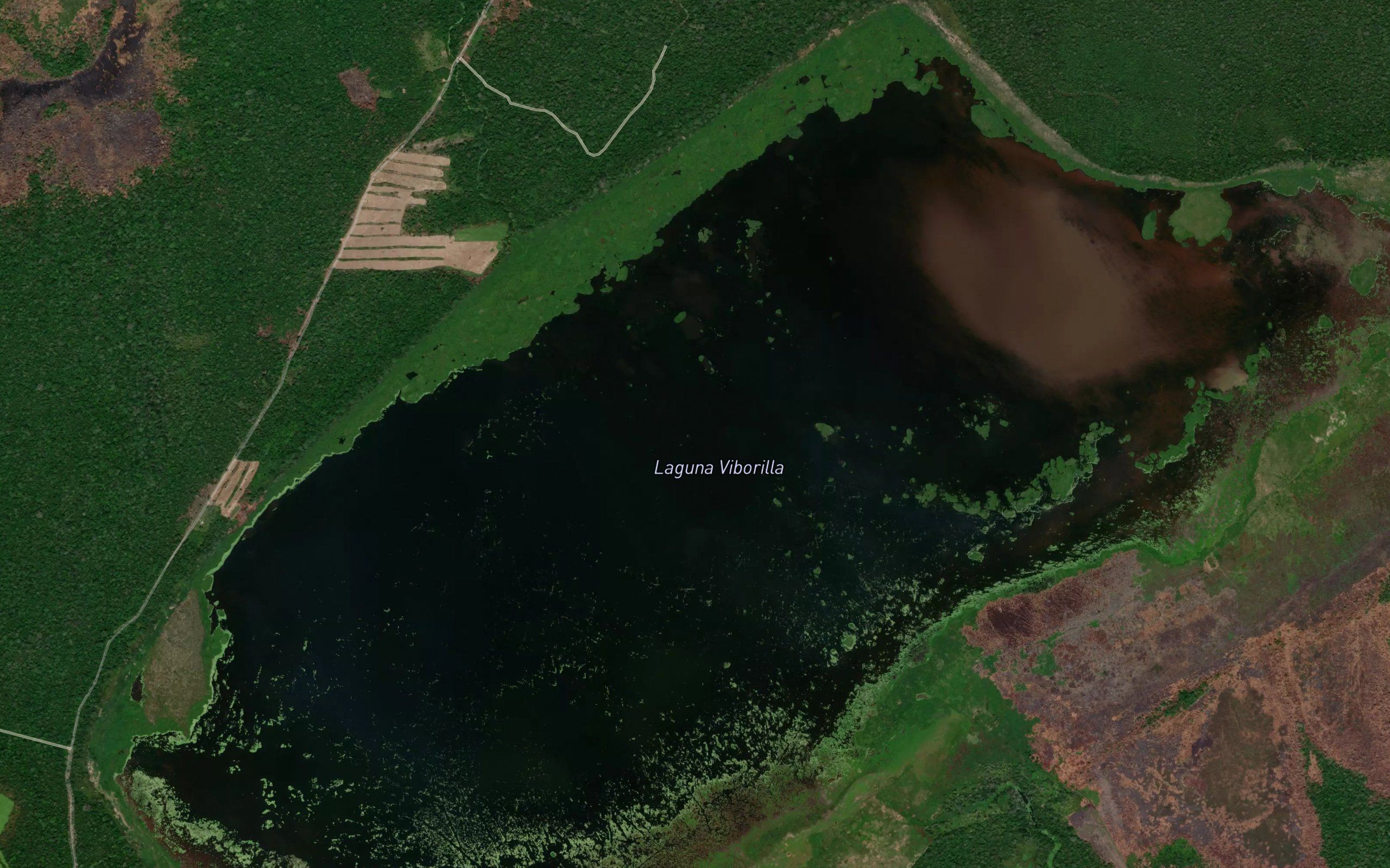 Laguna Viborilla